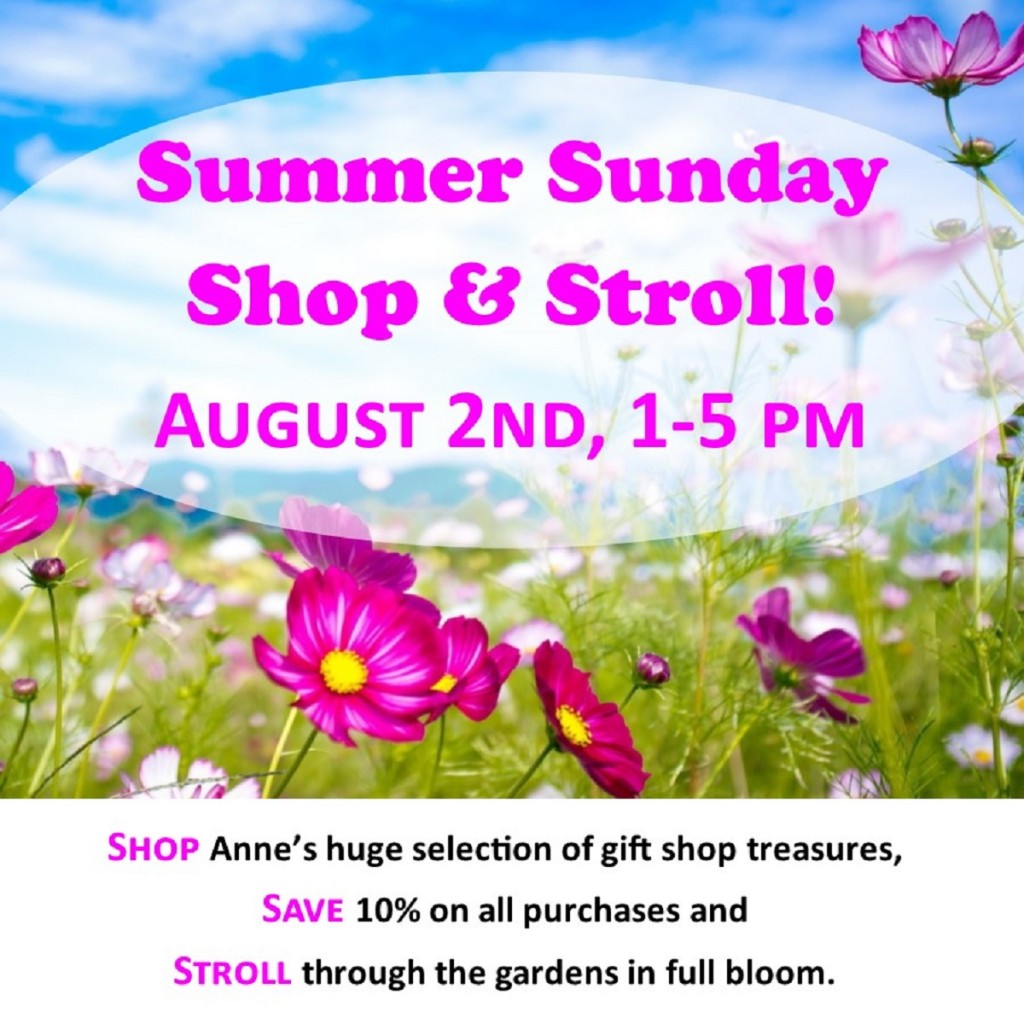 Summer Sale Gift Shop