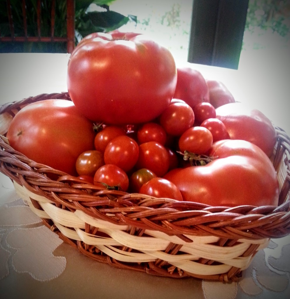 summer tomato recipe