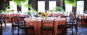 Indoor reception space with green plants and peach colored table linens.