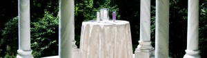 Ceremonies and Elopments Banner Photo