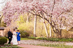 Bride's entrance in spring garden, Procopio Photography