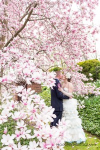 Bride and groom with magnolia blooms, Procopio Photography