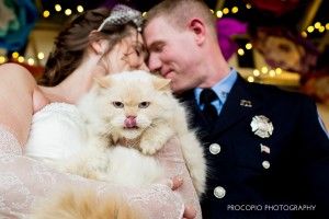 Bride and groom with Romeow, Procopio Photogrpahy