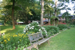 Center circle June garden