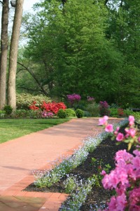 May garden wedding walk