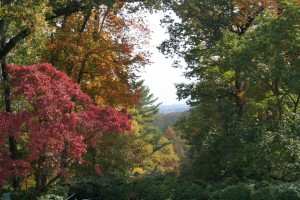 october gardens fall foliage