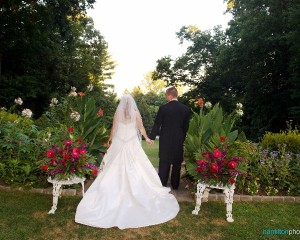 Back of Bride and Groom in the Garden Hamilton