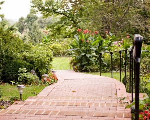 Back Walkway 1