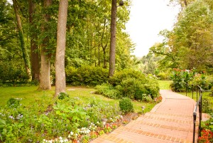 Back Walkway and Yard