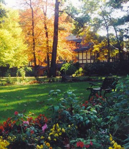 Center Circle garden Fall