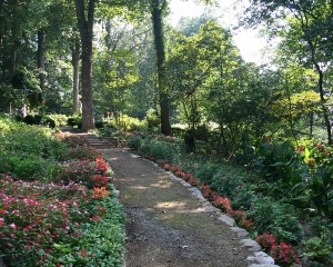 Gardens Lower Path 1