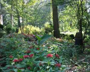 Gardens Lower Path 2