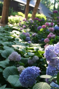 Gramercy Mansion Garden