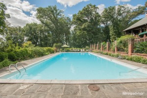 Outdoor pool and patio with view of woods