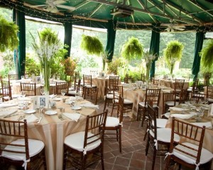 Slanger Wedding Reception