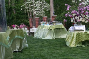 Spring 2011 Outside Food Service with Azaleas and Dogwood