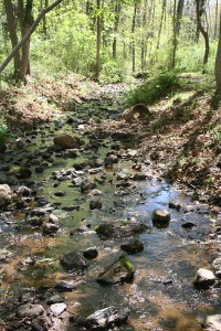 Honeybrook Stream at Gramercy