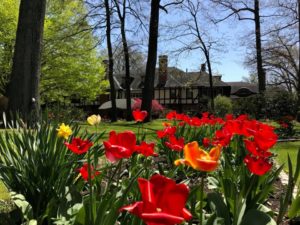 Maryland gardens in the spring with red and orange tulip flowers.