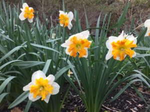 march