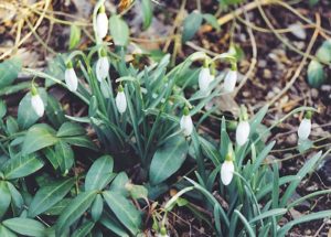 april