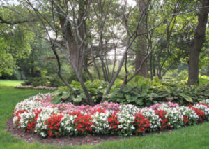 Sherwood Gardens