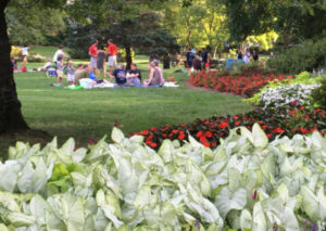 Sherwood Gardens